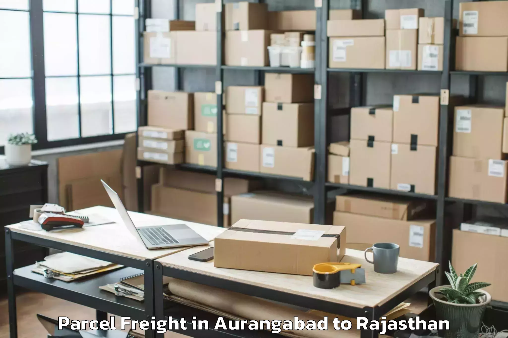 Professional Aurangabad to Mewar University Chittorgarh Parcel Freight